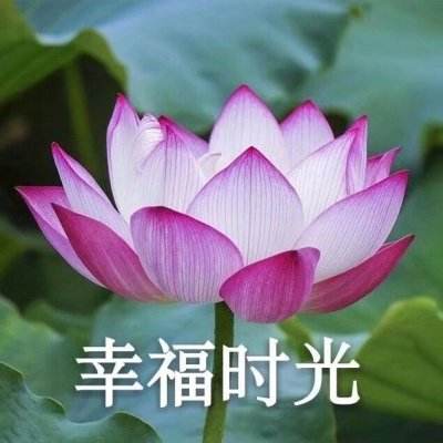 创富体育电竞官网/手机APP下载最新版